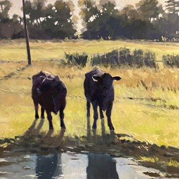 Silhouettes - Curious Cows